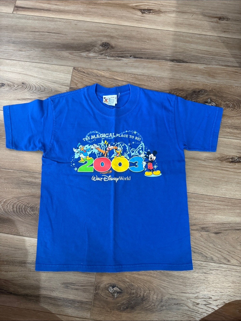 Disney Blue Kids T-Shirt 2000 Walt Disney World Graphic